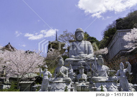 [奈良県]　壷阪寺　桜　春 54573186