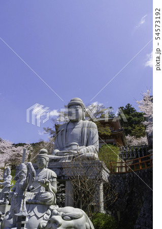 [奈良県]　壷阪寺　桜　春 54573192