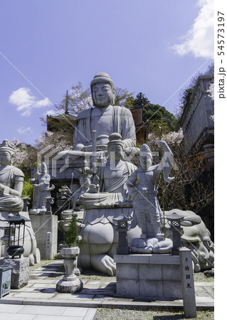 [奈良県]　壷阪寺　桜　春 54573197