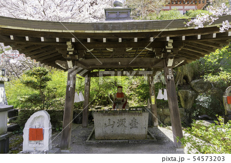 [奈良県]　壷阪寺　桜　春 54573203