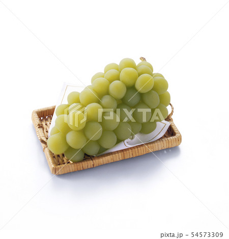 マスカット 54573309