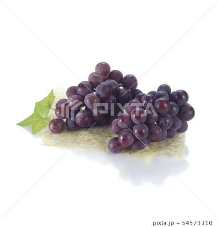 グローコールマン(GrosColman) グローコールマン(GrosColman) 54573310