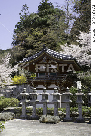 [奈良県]　壷阪寺　桜　春 54573572