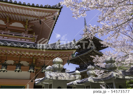 [奈良県]　壷阪寺　桜　春 54573577