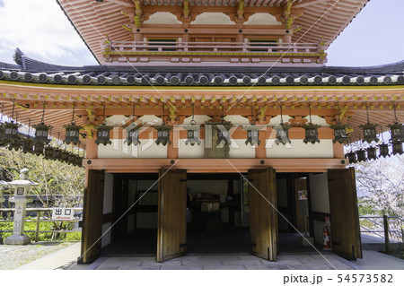 [奈良県]　壷阪寺　桜　春 54573582