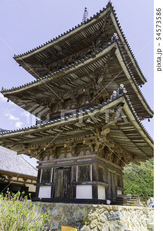 [奈良県]　壷阪寺　桜　春 54573586