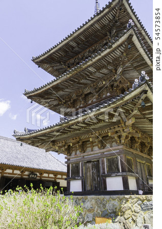 [奈良県]　壷阪寺　桜　春 54573854