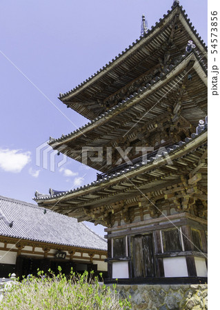 [奈良県]　壷阪寺　桜　春 54573856