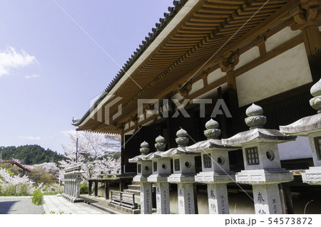 [奈良県]　壷阪寺　桜　春 54573872