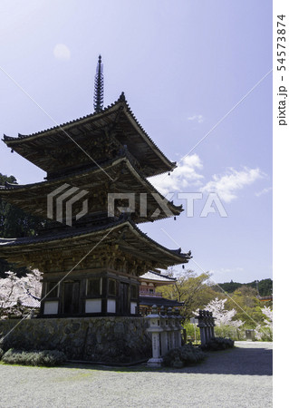 [奈良県]　壷阪寺　桜　春 54573874