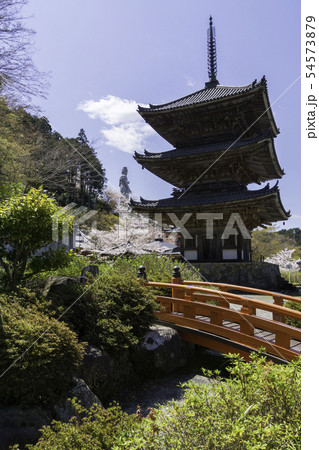 [奈良県]　壷阪寺　桜　春 54573879