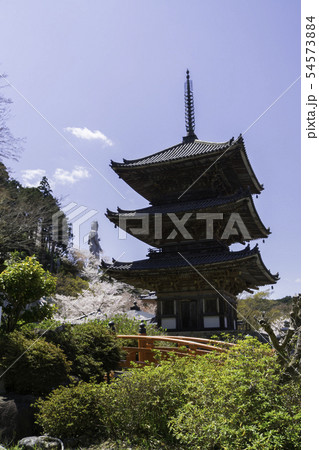 [奈良県]　壷阪寺　桜　春 54573884