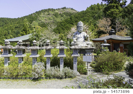 [奈良県]　壷阪寺　桜　春 54573896