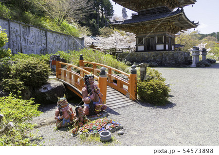 [奈良県]　壷阪寺　桜　春 54573898