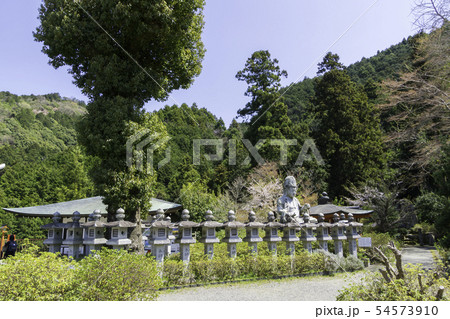 [奈良県]　壷阪寺　桜　春 54573910