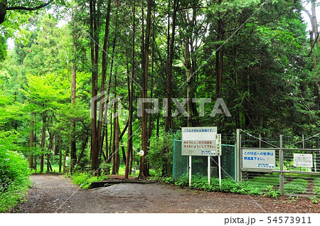 大和市泉の森　引地川水源地立ち入り禁止エリアと散策路 54573911
