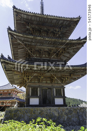 [奈良県]　壷阪寺　桜　春 54573946