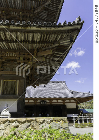 [奈良県]　壷阪寺　桜　春 54573949