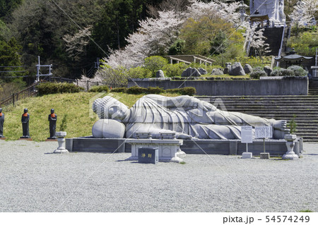 [奈良県]　壷阪寺　桜　春 54574249