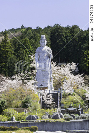 [奈良県]　壷阪寺　桜　春 54574255