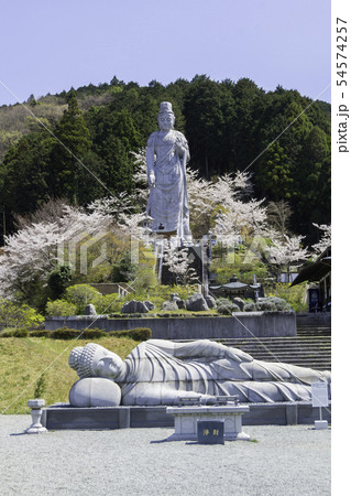 [奈良県]　壷阪寺　桜　春 54574257