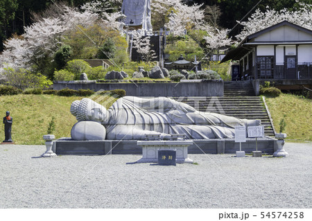 [奈良県]　壷阪寺　桜　春 54574258