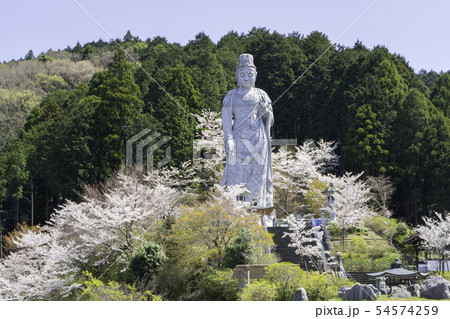 [奈良県]　壷阪寺　桜　春 54574259