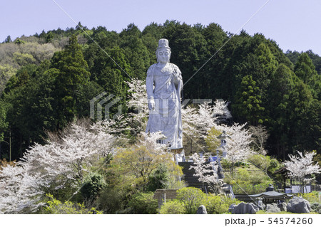 [奈良県]　壷阪寺　桜　春 54574260