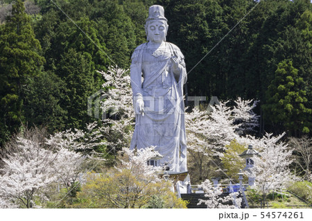 [奈良県]　壷阪寺　桜　春 54574261