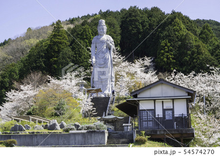 [奈良県]　壷阪寺　桜　春 54574270