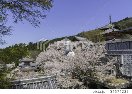 [奈良県]　壷阪寺　桜　春 54574285
