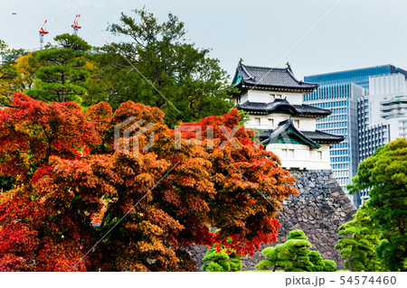 東京 皇居東御苑 富士見櫓と紅葉 54574460