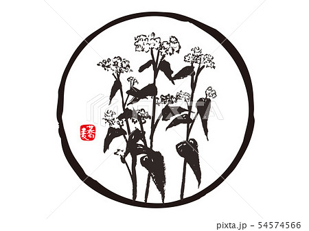 そば　蕎麦　筆文字 54574566