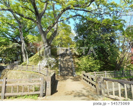 小泉城跡 小泉城跡 54575069