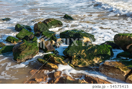 Stones at the edge of the sea Stones at the edge of the sea 54575415