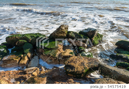 Stones at the edge of the sea Stones at the edge of the sea 54575419