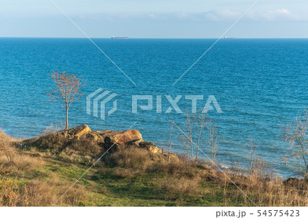 Deserted Black Sea Coast on a Fall Day 54575423
