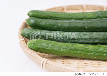 きゅうり 54575564