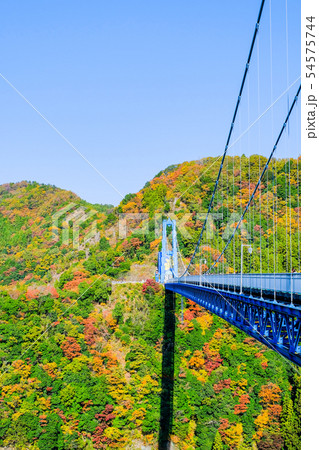 竜神大吊橋・秋 54575744