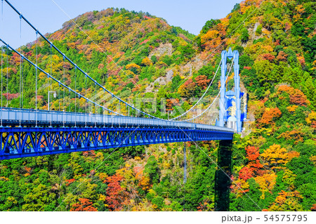 竜神大吊橋・秋 54575795