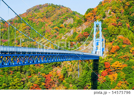 竜神大吊橋 秋の写真素材