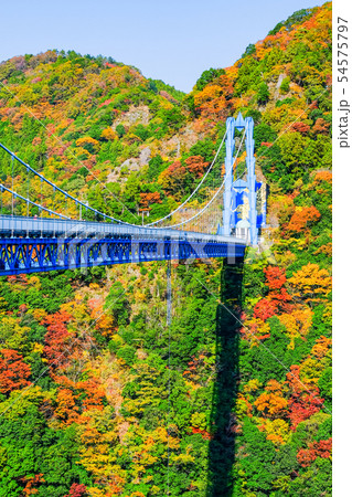 竜神大吊橋・秋 竜神大吊橋・秋 54575797