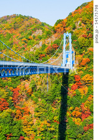 竜神大吊橋・秋 54575798