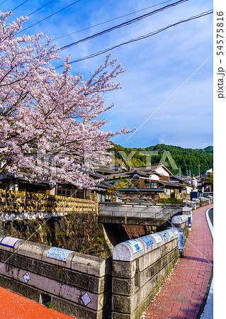 陶芸の里(中尾山)と桜 【長崎県東彼杵郡波佐見町】 陶芸の里(中尾山)と桜 【長崎県東彼杵郡波佐見町】 54575816