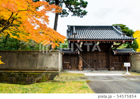東京 皇居 紅葉の乾通り 局門とモミジ 54575854