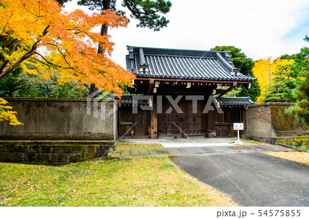 東京 皇居 紅葉の乾通り 局門とモミジ 54575855