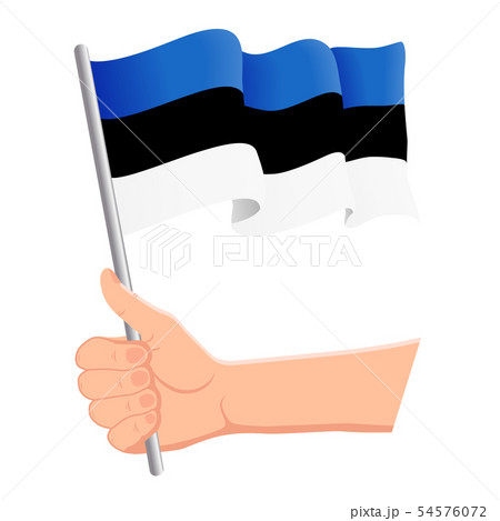 Hand holding and waving the national flag of Estonia. Fans, independence day, patriotic concept Hand holding and waving the national flag of Estonia. Fans, independence day, patriotic concept 54576072