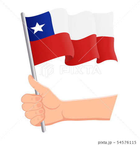 Hand holding and waving the national flag of Chile. Fans, independence day, patriotic concept 54576115
