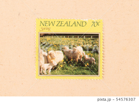 NEW ZEALAND - CIRCA 1980 NEW ZEALAND - CIRCA 1980 54576307
