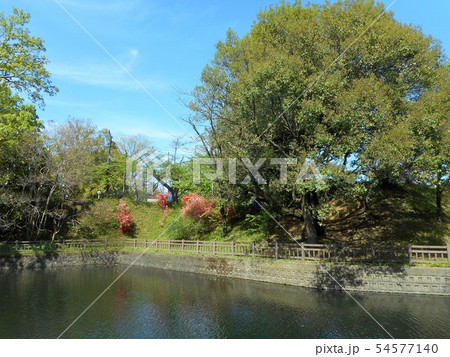 小泉城跡 内掘 小泉城跡 内掘 54577140